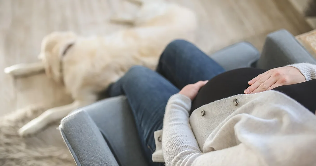 Mulher grávida descansando no sofá ao lado de um cachorro